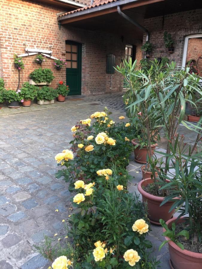 Bed and Breakfast Ferme Brocart Bouvines Exterior foto